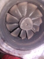 20220505_082640.jpg