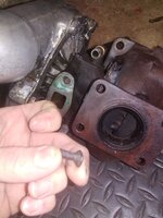 20220511_051445.jpg