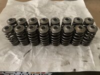 Evo beehive valve springs