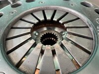 IMG_2519.JPEG
