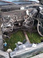 IMG_20220916_193746.jpg