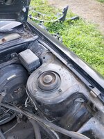 IMG_20220914_174814.jpg