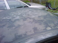 before paint 3.jpg