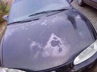 before paint 4.jpg