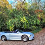 1998 Mitsubishi Eclipse Spyder N/T