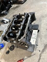 IMG_5120.JPEG