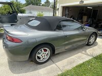 IMG_4442.jpeg