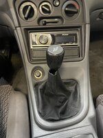 IMG_2981.jpeg