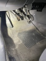 IMG_2982.jpeg