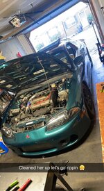 IMG_2942.jpeg