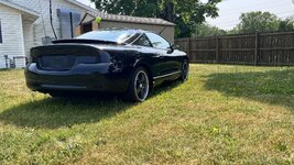 IMG_1336.jpeg