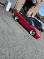 IMG_4336.jpeg