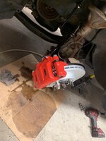 IMG_3142.jpeg