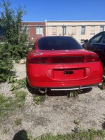 IMG_8569.jpeg