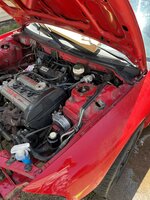 IMG_8590.jpeg