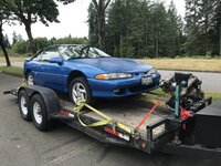 IMG_4387.jpeg