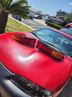 20230509_103932.jpg