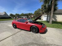 IMG_4007.jpeg