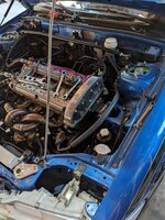 PXL_20230815_005102408.jpg