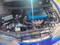IMG_6035.jpg