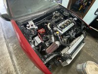 IMG_3383.JPG