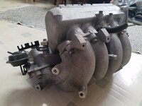 20230910_181346.jpg