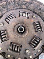 IMG_6315.jpeg
