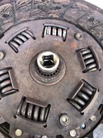 IMG_6316.jpeg