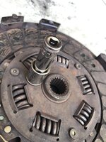 IMG_6317.jpeg