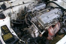IMG_7528.jpeg