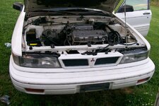 IMG_7529.jpeg