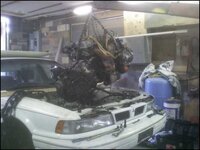 IMG_7531.jpeg