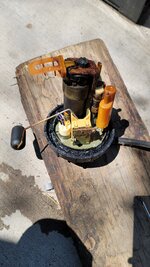 20230810_122606.jpg