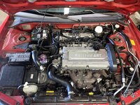 IMG_5533.jpeg