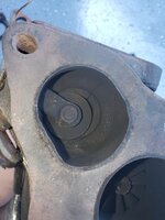 20231001_165225.jpg 20231001_165225.jpg