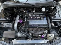 IMG_9548.jpeg
