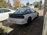 IMG_2555.jpeg