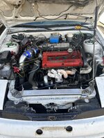 IMG_2525.jpeg