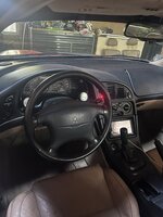IMG_9121.jpeg
