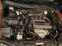 IMG_9029.jpeg