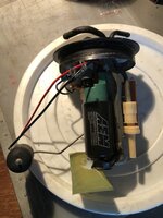 IMG_6492.jpeg