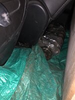 IMG_5345.jpeg