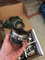 IMG_5269.jpeg