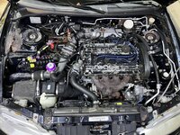 IMG_0582.jpeg