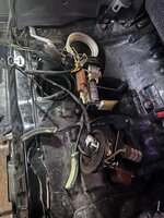 IMG_0687.jpeg