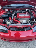 IMG_1032.jpeg