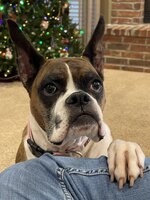 IMG_0438.jpeg