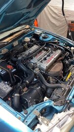 IMG_7220.jpeg