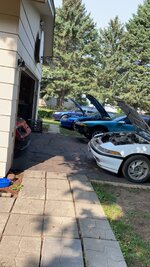 IMG_7045.jpeg