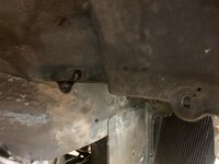 IMG_3981.jpeg